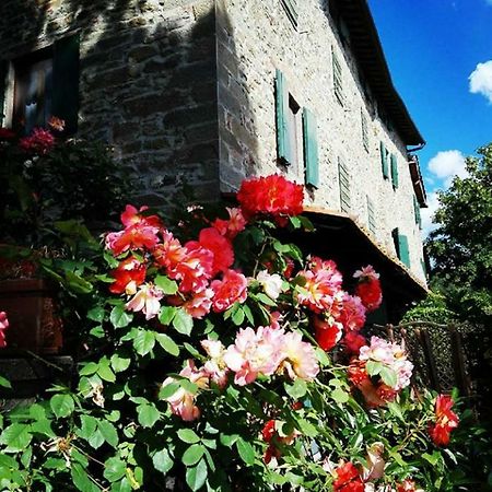 Podere I Rovai-Apt Il Rifugio- In The Heart Of Tuscany Reggello Zewnętrze zdjęcie