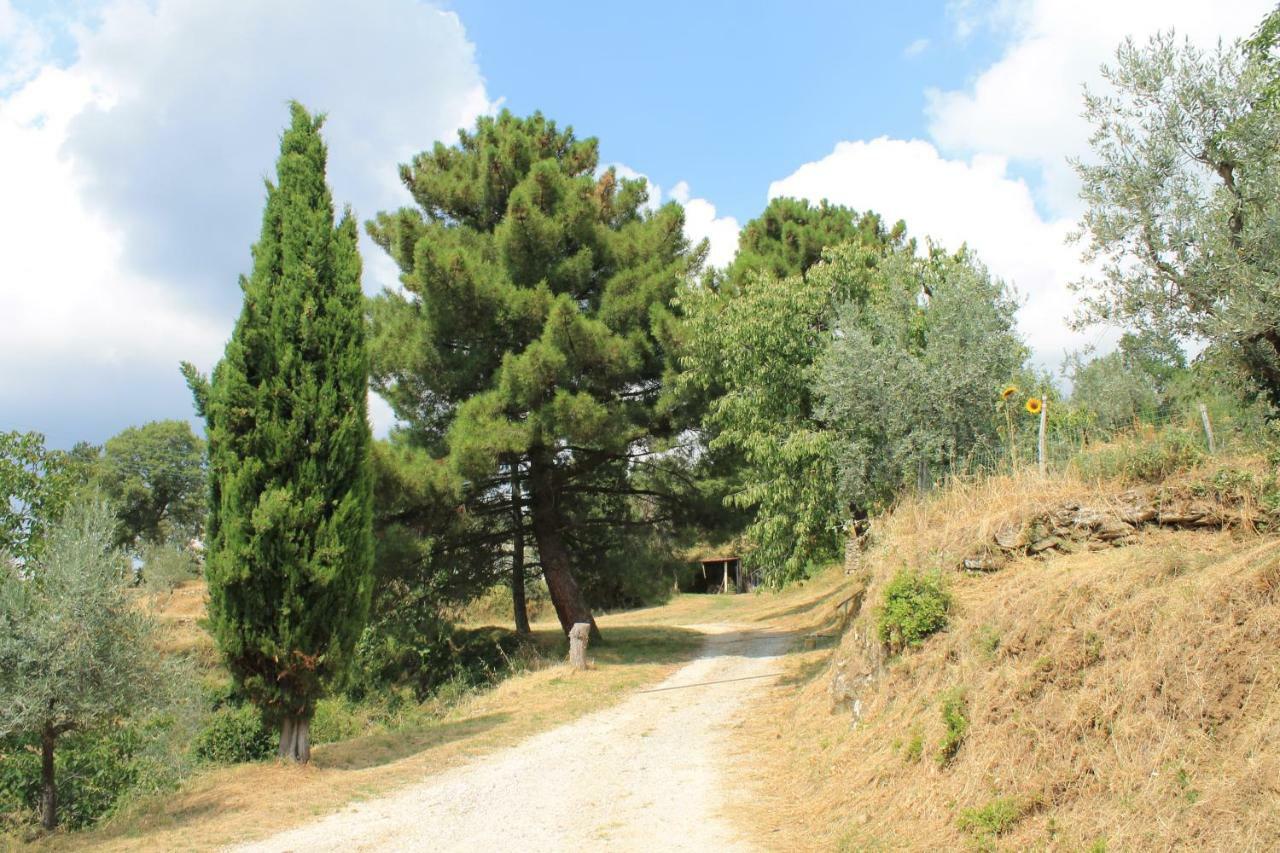 Podere I Rovai-Apt Il Rifugio- In The Heart Of Tuscany Reggello Zewnętrze zdjęcie