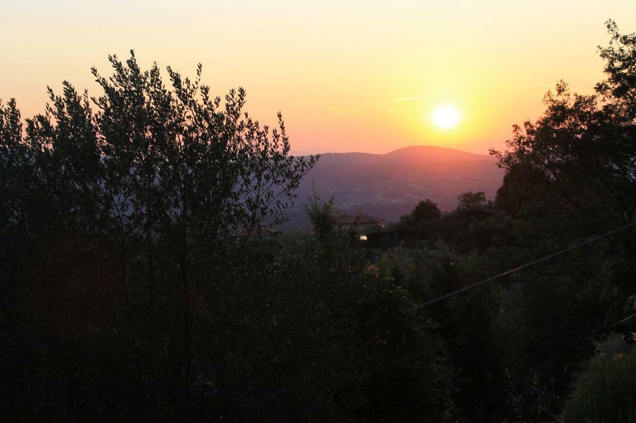 Podere I Rovai-Apt Il Rifugio- In The Heart Of Tuscany Reggello Zewnętrze zdjęcie